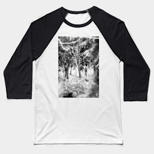 snowy Oregon forest Baseball T-Shirt